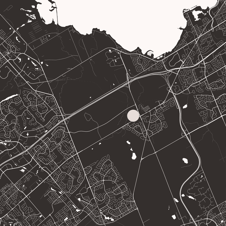 Purpose in Ottawa